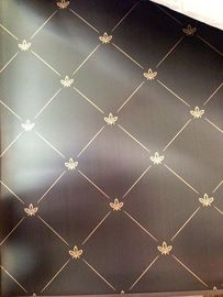 201 304 316 430 Mirror Stainless Steel Color Decorative Sheets With Etched Finish supplier