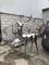 2020 China Stainless Steel Elk Wapiti Metal Sculptures For Garden Wall Art supplier